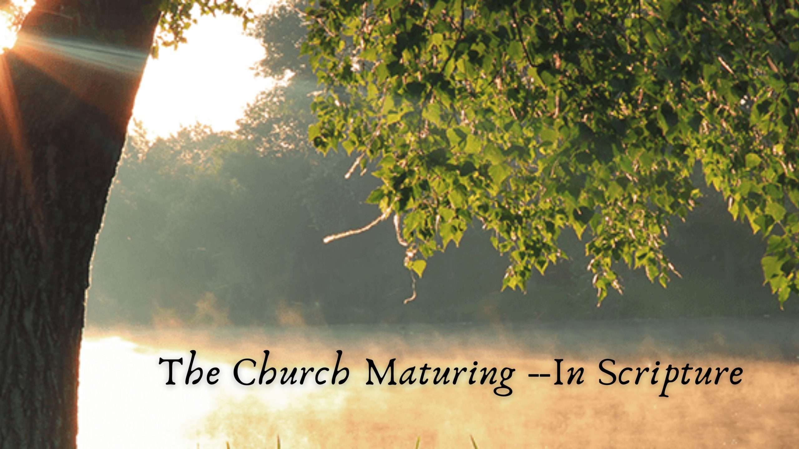 The Church Maturing --In Scripture
